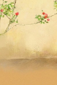 深圳男篮遭遇连败，失利于广州队