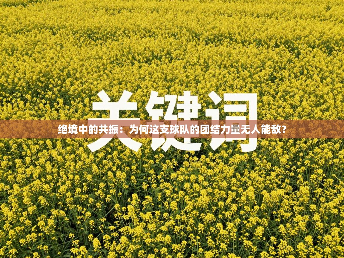绝境中的共振：为何这支球队的团结力量无人能敌？