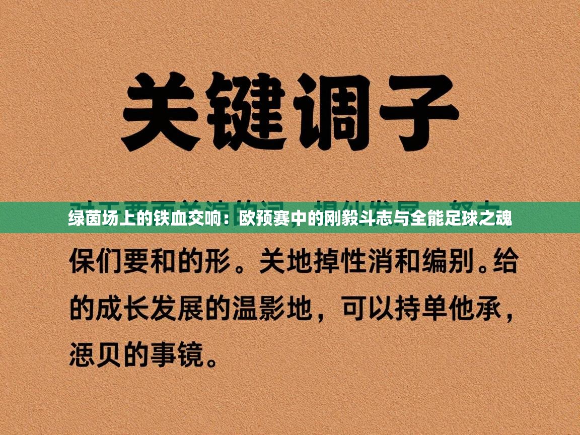 绿茵场上的铁血交响：欧预赛中的刚毅斗志与全能足球之魂  第1张