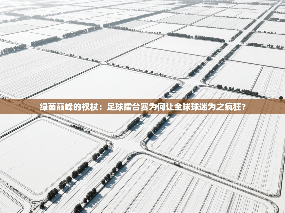 绿茵巅峰的权杖：足球擂台赛为何让全球球迷为之疯狂？
