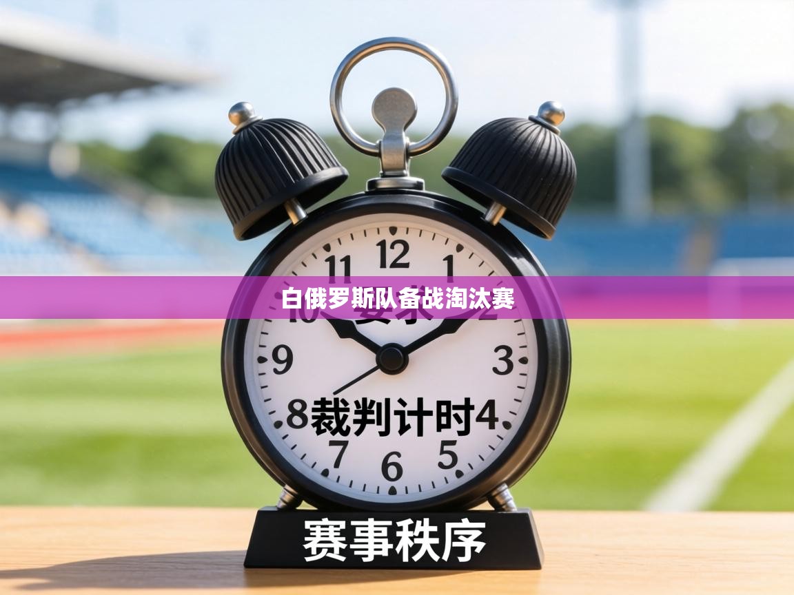 白俄罗斯队备战淘汰赛